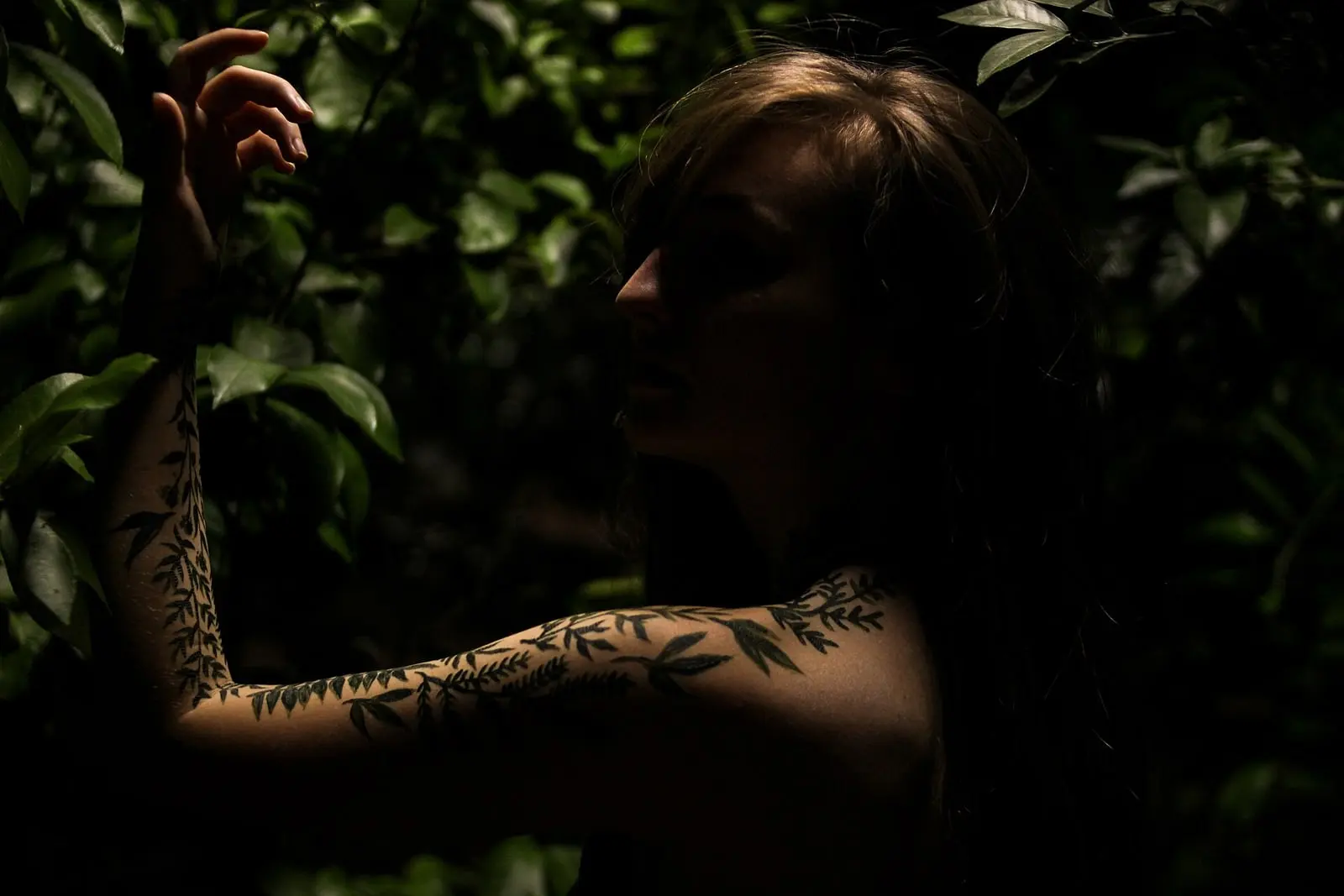 Tatouage fine line végétal sur l'avant-bras